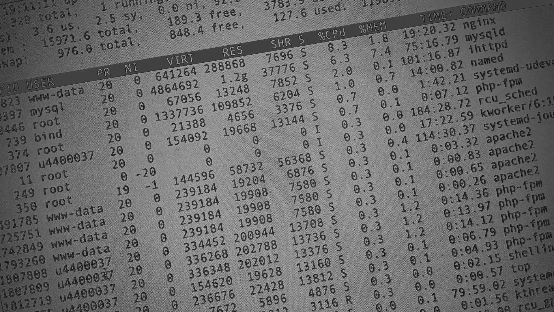 Настройка сервера в Троицке